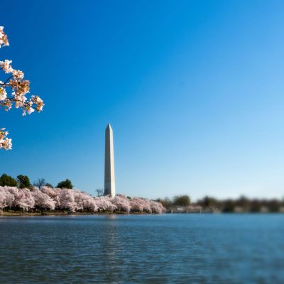 national-mall-surrounded-by-cherry-blossoms-lake-sunlight-washington-dc_3