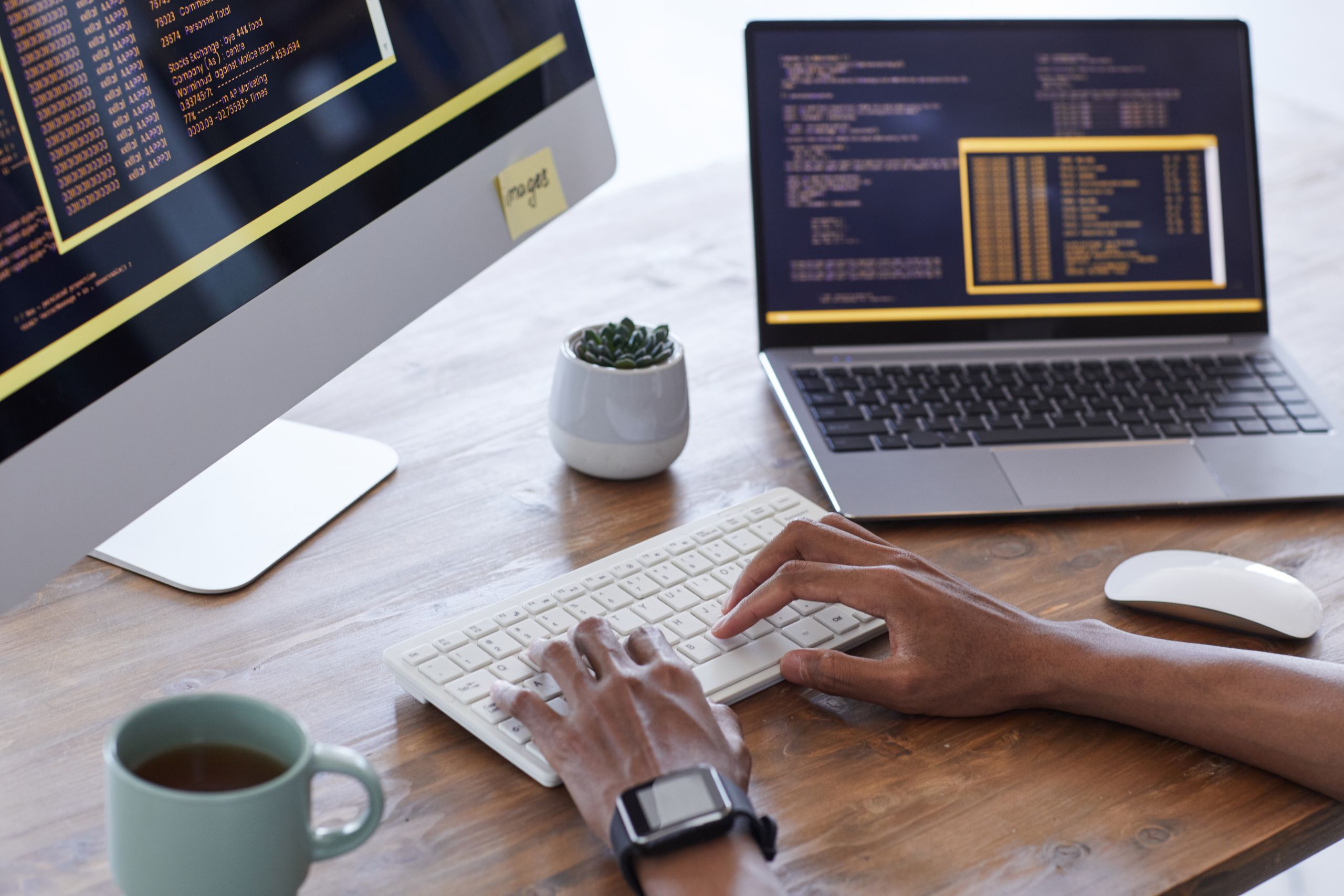 software development