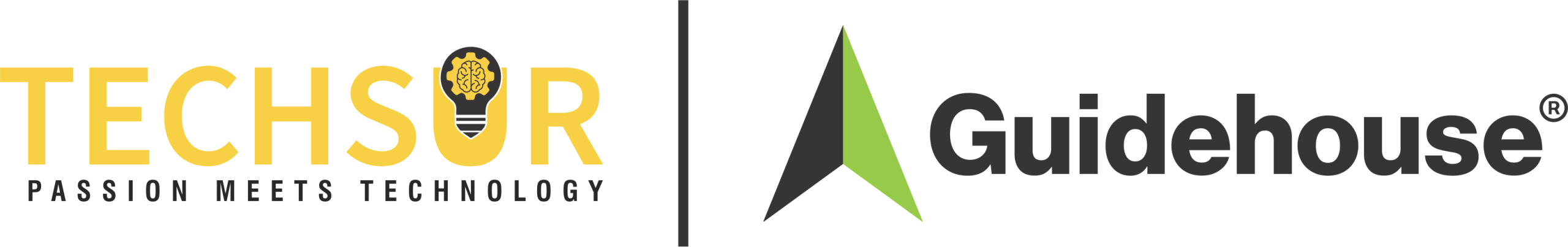 TechSur-Guidehouse JV